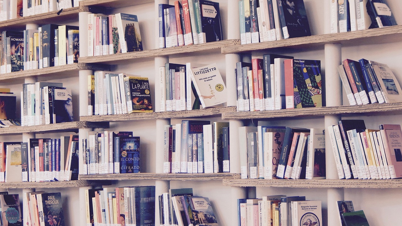 Building a Home Library on a Budget: Beautiful Shelves Without the Price Tag