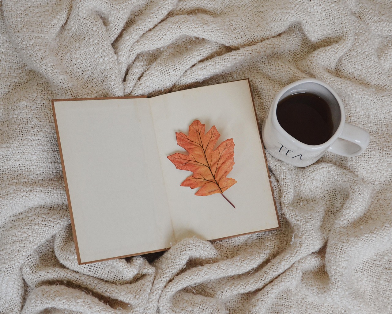 Reading Rituals: Small Habits That Turn Pages Into a Daily Practice